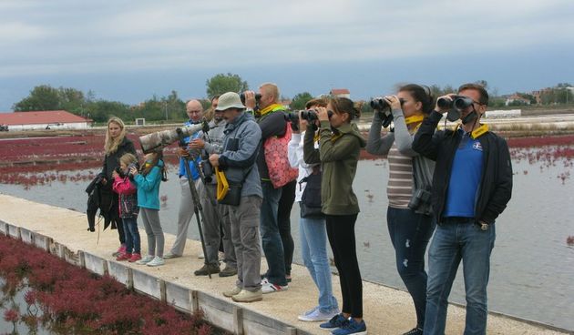 U Solani Nin obilježen Europski dan prebrojavanja ptica