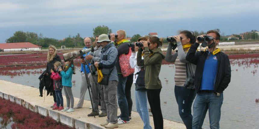 U Solani Nin obilježen Europski dan prebrojavanja ptica
