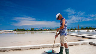 Solana Nin, berba soli, foto: Leo Banić