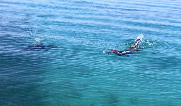 Velika akcija čišćenja podmorja u Bibinjama, foto: L.Banić