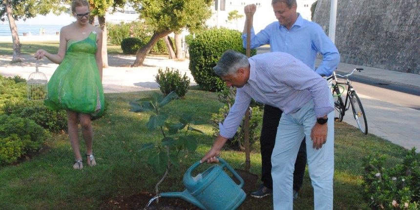 Gradonačelnik Dukić i župan Longin posadili smokvu kod Morskih orgulja