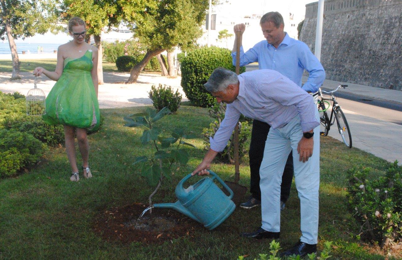 Gradonačelnik Dukić i župan Longin posadili smokvu kod Morskih orgulja