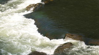 Image 1199593 (auto)