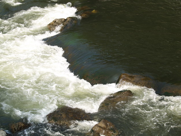 Image 1199593 (auto)