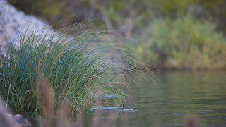 Izlet na Kudin most, foto: Darko Belančić Izlet na Kudin most, foto: Darko Belančić