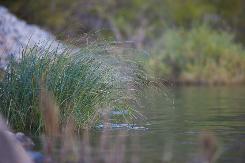 Izlet na Kudin most, foto: Darko Belančić Izlet na Kudin most, foto: Darko Belančić