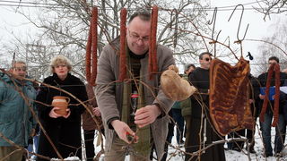 Vukovar, 220110.
U vinogradima Vukovara proslavlja se blagdan Sv. Vinka kada se tradicionalno blagoslove vinogradi. Na salasu Goldschmidt po 11 puta se odrzava Vinkovo na Vucedolu, gdje se moglo uzivati u vinu i gastronomskim specijalitetima. Na fotografi Vukovar, 220110.
U vinogradima Vukovara proslavlja se blagdan Sv. Vinka kada se tradicionalno blagoslove vinogradi. Na salasu Goldschmidt po 11 puta se odrzava Vinkovo na Vucedolu, gdje se moglo uzivati u vinu i gastronomskim specijalitetima. Na fotografi