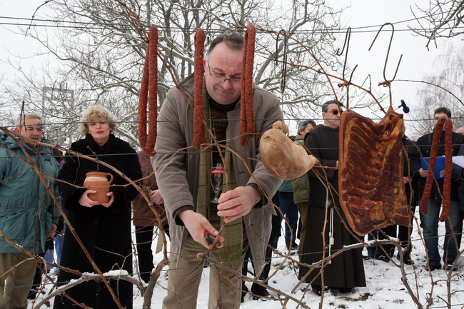Vukovar, 220110.
U vinogradima Vukovara proslavlja se blagdan Sv. Vinka kada se tradicionalno blagoslove vinogradi. Na salasu Goldschmidt po 11 puta se odrzava Vinkovo na Vucedolu, gdje se moglo uzivati u vinu i gastronomskim specijalitetima. Na fotografi Vukovar, 220110.
U vinogradima Vukovara proslavlja se blagdan Sv. Vinka kada se tradicionalno blagoslove vinogradi. Na salasu Goldschmidt po 11 puta se odrzava Vinkovo na Vucedolu, gdje se moglo uzivati u vinu i gastronomskim specijalitetima. Na fotografi