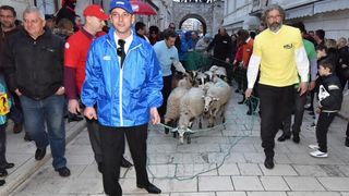 Poznata zadarska skupina Bleke i Konji na karnevalskoj povorci pojavila se sa stadom ovaca koje su doveli na sredisnji gradski trg. Clanovi skupine bili su obuceni u majice hrvatskih politickih stranaka koje su medjusobno izmjenjivali uz domoljubne pjesme