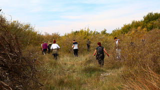 Na Vranskom jezeru održana akcija krčenja vegetacije Na Vranskom jezeru održana akcija krčenja vegetacije