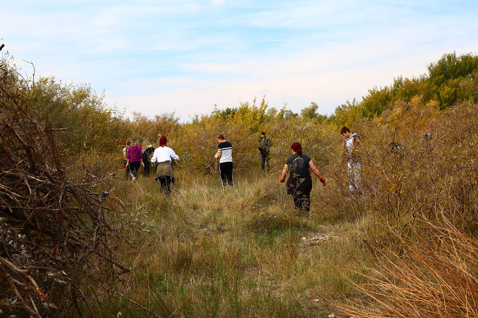 Na Vranskom jezeru održana akcija krčenja vegetacije Na Vranskom jezeru održana akcija krčenja vegetacije