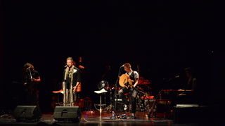 Gibonni nastupio u HNK Zadar, foto: Iva Perinčić Gibonni nastupio u HNK Zadar, foto: Iva Perinčić