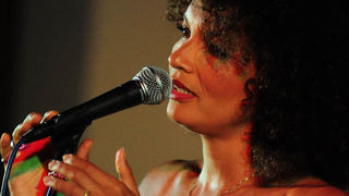 Providurova palača: From Brasil to New York via Haiti, foto: Nenad Marčev