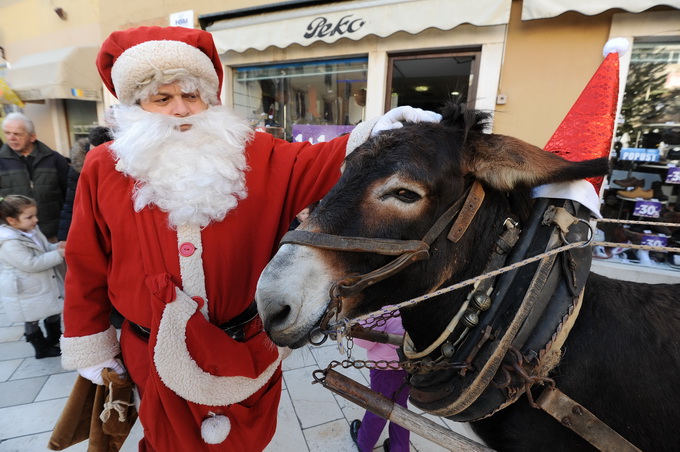 Zadar, 241212.
Na danasnji dan kao i svake godine u ovo vrijeme, cijeli Poluotok, a pogotovo Varos, pun je Zadrana koji uzivaju u bakalaru i druzenju s obitelji i prijateljima. Kroz citav grad prolaze klape i sviraci pjevajuci prigodne pjesme.
Na fotograf Zadar, 241212.
Na danasnji dan kao i svake godine u ovo vrijeme, cijeli Poluotok, a pogotovo Varos, pun je Zadrana koji uzivaju u bakalaru i druzenju s obitelji i prijateljima. Kroz citav grad prolaze klape i sviraci pjevajuci prigodne pjesme.
Na fotograf