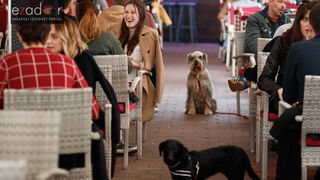 Đir po gradu, subotnja špica 31. ožujka 2018. Đir po gradu, subotnja špica 31. ožujka 2018.