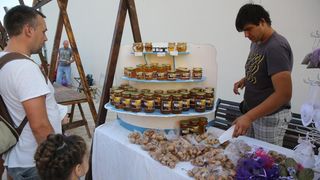 Ninska šokolijada 2013. Ninska šokolijada 2013.