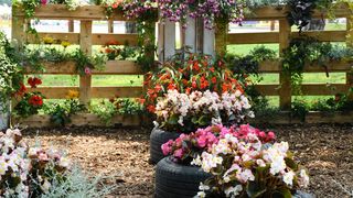 Pogledajte cvijetne fantazije na 53. Floraartu