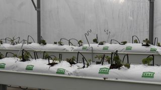 OLYMPUS DIGITAL CAMERA OLYMPUS DIGITAL CAMERA