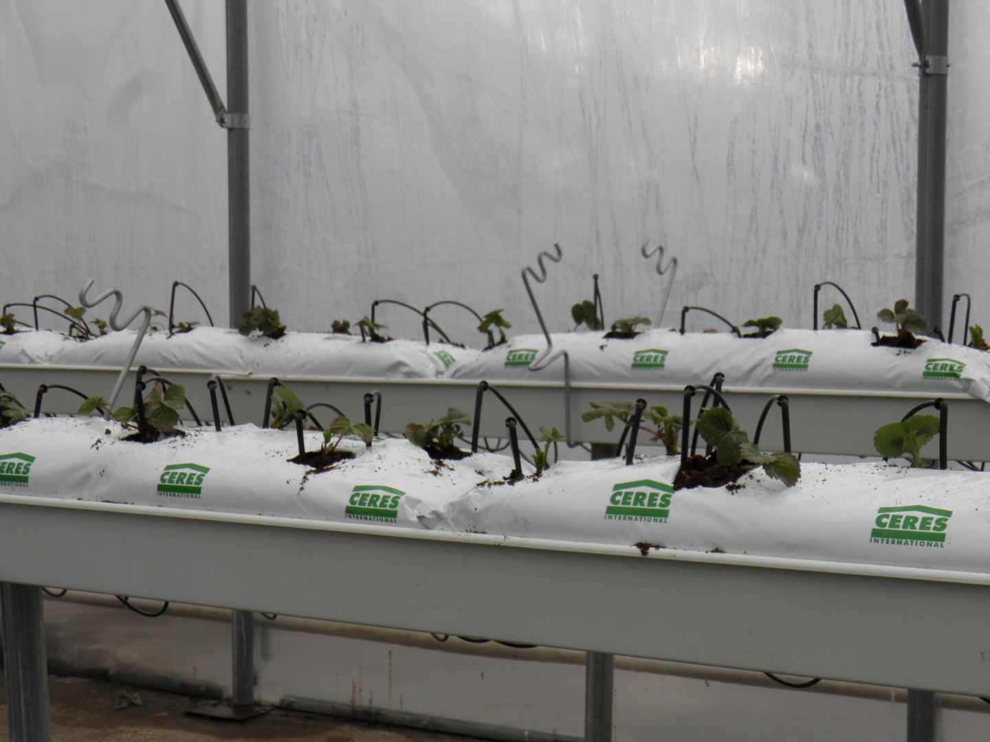 OLYMPUS DIGITAL CAMERA OLYMPUS DIGITAL CAMERA