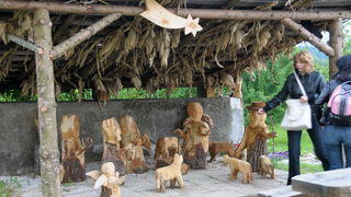 Hodocasce zupljana zupe Bl. Alojzija Stepinca u Krasic, Mariju Bistricu i zagreb, Foto: Darko Dilber