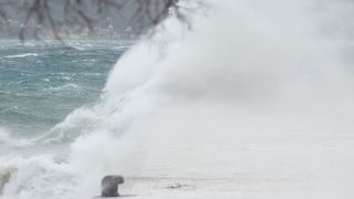 Đir po gradu, ponedjeljak 28. prosinca 2020. Đir po gradu, ponedjeljak 28. prosinca 2020.