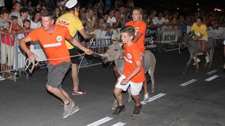 10. međunarodna trka tovarov Tisno 2015