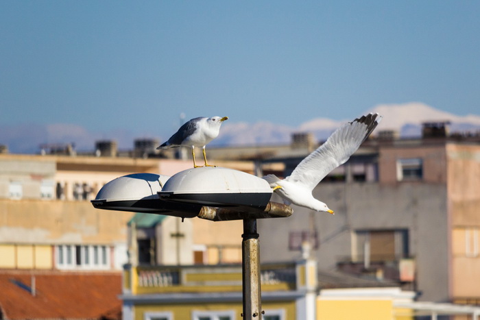 Image 380469 (auto) Image 380469 (auto)