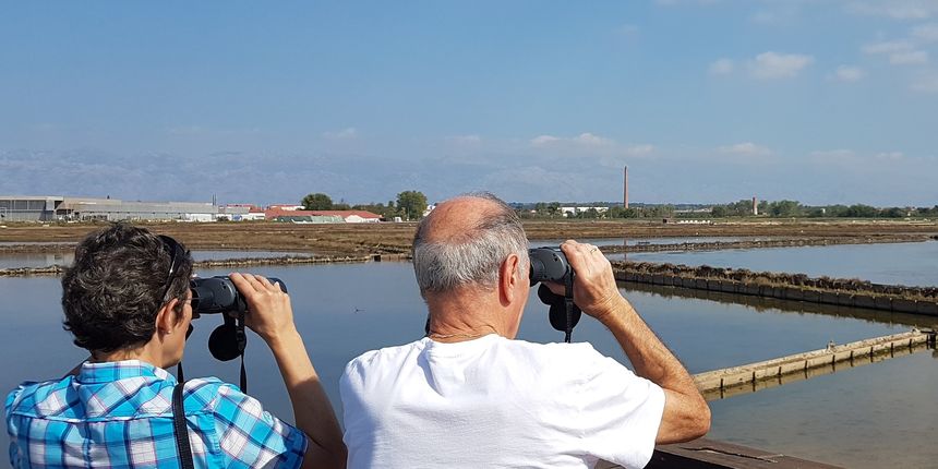 Promatranje ptica u Ninskoj laguni Promatranje ptica u Ninskoj laguni