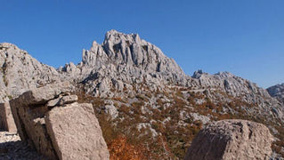 OLYMPUS DIGITAL CAMERA OLYMPUS DIGITAL CAMERA