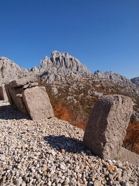 OLYMPUS DIGITAL CAMERA OLYMPUS DIGITAL CAMERA