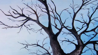 Galerija “Mali medo” Galerija “Mali medo”