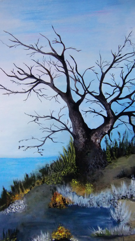 Galerija “Mali medo” Galerija “Mali medo”