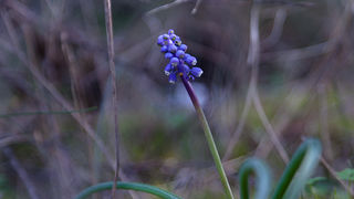 Ugodno prijepodne uz tok rijeke Karešnice i stare zapuštene mlinove, foto: Darko Belančić