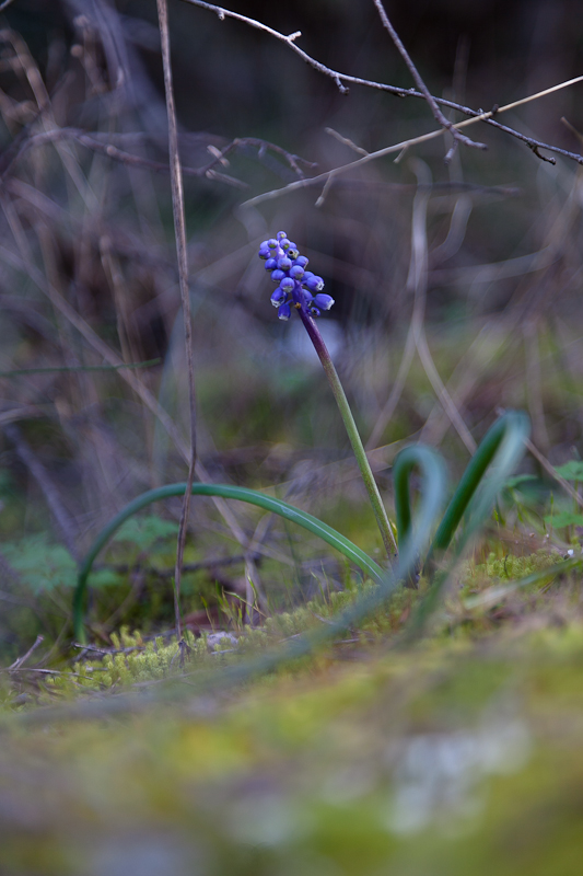 Ugodno prijepodne uz tok rijeke Karešnice i stare zapuštene mlinove, foto: Darko Belančić