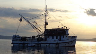 Mišnjak: Nasukana ribarica “Glamoč”