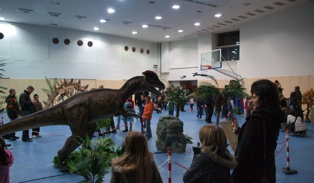 Dino expo