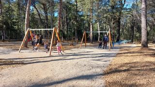 park šuma musapstan