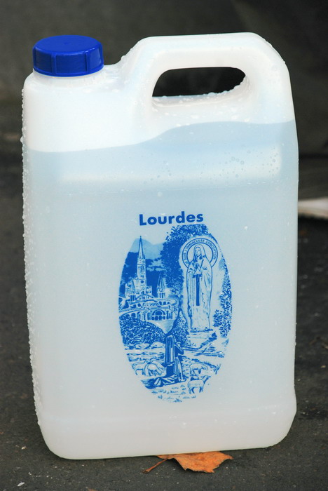 Zadarski vjernici u Lourdesu