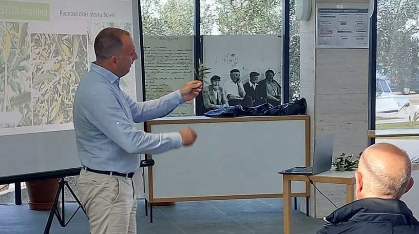 Šime Marcelić autor prvog online seminara o maslinarstvu Šime Marcelić autor prvog online seminara o maslinarstvu