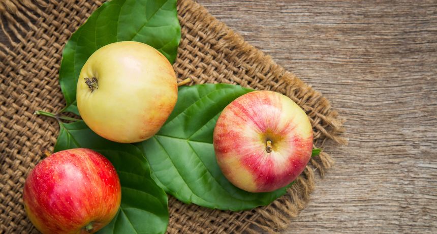 Najbolje namirnice za mršavljenje Najbolje namirnice za mršavljenje