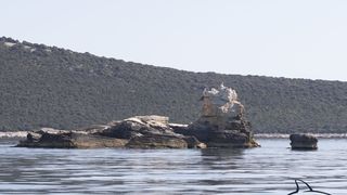 Razigrani dupini na Kornatima i kod Dugog otoka