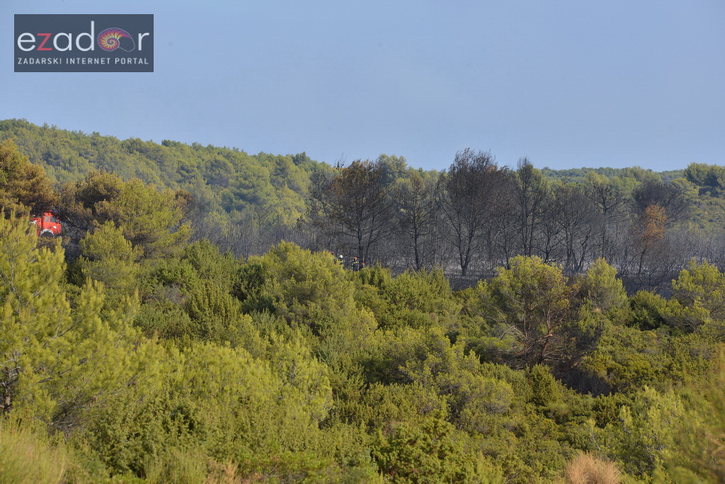 Zračne i kopnene vatrogasne snage u rekordnom roku lokalizirale požar između Dikla i Kožina
