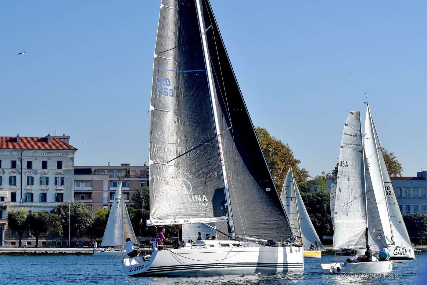 Sva lica “Zadarske koke” Sva lica “Zadarske koke”