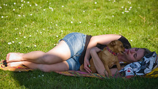 Međunarodna izložba pasa “CACIB ZADAR 2012” Međunarodna izložba pasa “CACIB ZADAR 2012”