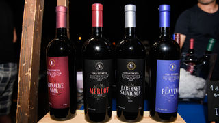 Gastro & wine night @ Vrsi Gastro & wine night @ Vrsi