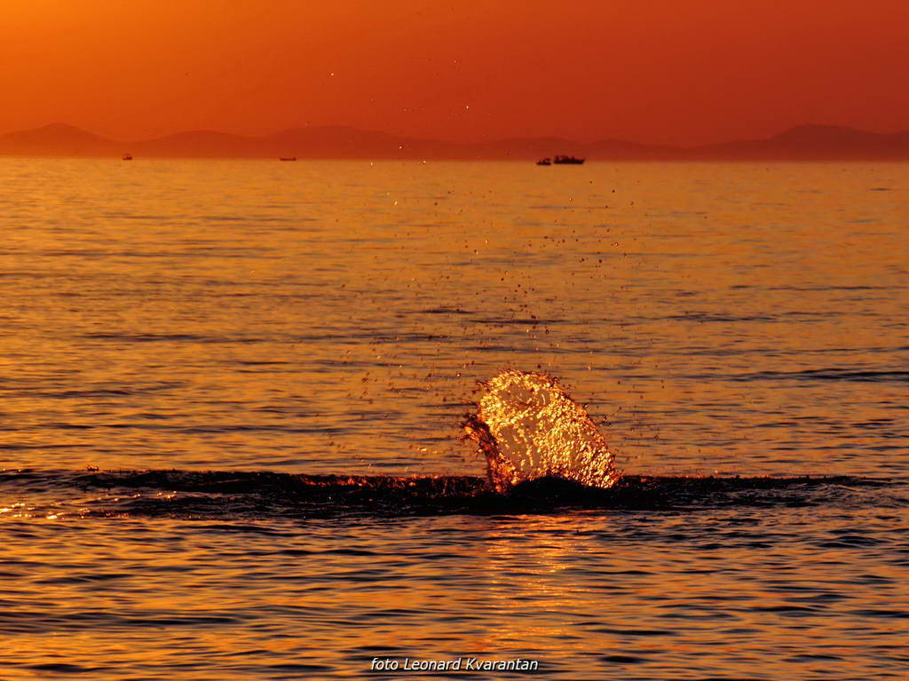 Čarobni smiraj dana na Puntamici 31. kolovoza 2015., Foto: Leonard Kvarantan Čarobni smiraj dana na Puntamici 31. kolovoza 2015., Foto: Leonard Kvarantan