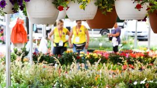 Pogledajte cvijetne fantazije na 53. Floraartu