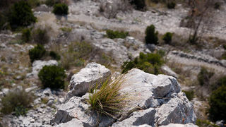 Šetnjica poučnom stazom sv. Leopolda Mandića, Mosor, foto: Darko Belančić