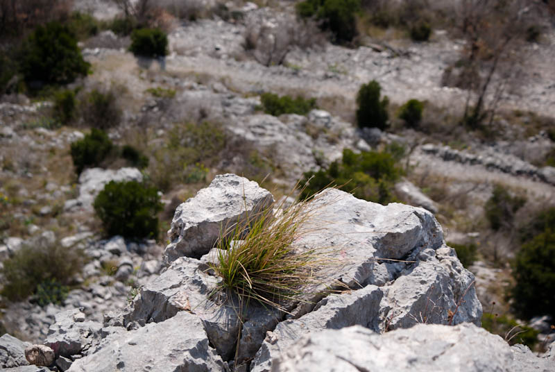 Šetnjica poučnom stazom sv. Leopolda Mandića, Mosor, foto: Darko Belančić
