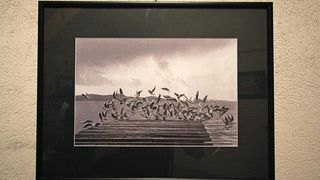 Izložba fotografija Željka Mršića “Rani Radovi”